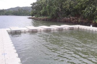 &Pi;&lambda;&omega;&tau;έ&sigmaf; &pi;&iota;&sigma;ί&nu;&epsilon;&sigmaf; - 5