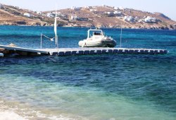 &Pi;&lambda;&omega;&tau;ή &epsilon;&xi;έ&delta;&rho;&alpha; &gamma;&iota;&alpha; Hippie Fish - 6