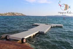 &Pi;&lambda;&omega;&tau;ή &epsilon;&xi;έ&delta;&rho;&alpha; &gamma;&iota;&alpha; Hippie Fish - 4