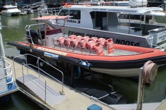 Airberth Boatlifts - 12