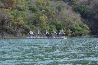 &Beta;&iota;&omicron;&mu;&eta;&chi;&alpha;&nu;&iota;&kappa;ά έ&rho;&gamma;&alpha; - 18