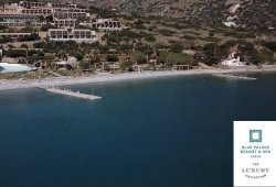 &Pi;&lambda;&omega;&tau;έ&sigmaf; &epsilon;&xi;έ&delta;&rho;&epsilon;&sigmaf; &gamma;&iota;&alpha; &tau;&omicron; Courtesy of Blue Palace - 2