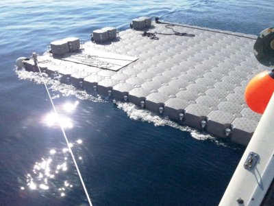 Floating dock for MLS