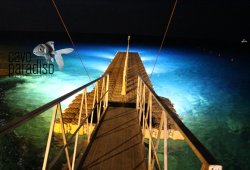 &Pi;&lambda;&omega;&tau;ή &epsilon;&xi;έ&delta;&rho;&alpha; &gamma;&iota;&alpha; &tau;&omicron; Cavo Paradiso - 3