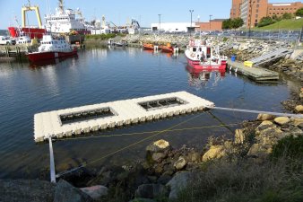 &Beta;&iota;&omicron;&mu;&eta;&chi;&alpha;&nu;&iota;&kappa;ά έ&rho;&gamma;&alpha; - 22