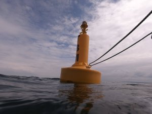 &Sigma;&eta;&mu;&alpha;&nu;&tau;ή&rho;&epsilon;&sigmaf; &theta;&alpha;&lambda;&lambda;ά&sigma;&eta;&sigmaf; FullOceans - 4