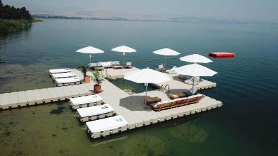 &Pi;&lambda;&omega;&tau;έ&sigmaf; &pi;&iota;&sigma;ί&nu;&epsilon;&sigmaf; - 14