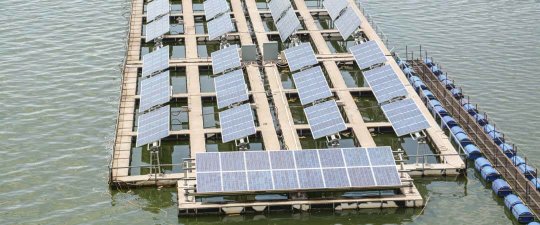 E&lambda;&alpha;&sigma;&tau;&iota;&kappa;ά &sigma;&chi;&omicron;&iota;&nu;&iota;ά &alpha;&gamma;&kappa;&upsilon;&rho;&omicron;&beta;&omicron;&lambda;ί&alpha;&sigmaf; Hazelett - 13