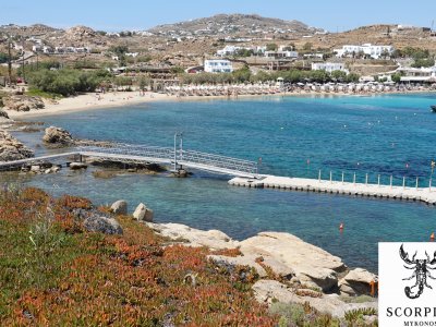 Floating dock for Scorpios (2021)