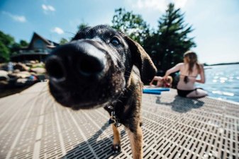 &Pi;ά&nu;&epsilon;&lambda; &kappa;&alpha;&tau;&alpha;&sigma;&tau;&rho;ώ&mu;&alpha;&tau;&omicron;&sigmaf; ThruFlow - 2