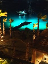 &Phi;&omega;&tau;&iota;&sigma;&mu;ό&sigmaf; &pi;&lambda;&omega;&tau;ή&sigmaf; &epsilon;&xi;έ&delta;&rho;&alpha;&sigmaf; - 23