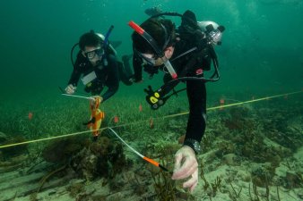 &Omicron;&iota;&kappa;&omicron;&lambda;&omicron;&gamma;&iota;&kappa;ή &alpha;&gamma;&kappa;&upsilon;&rho;&omicron;&beta;&omicron;&lambda;ί&alpha; - 47