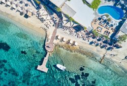 &Pi;&lambda;&omega;&tau;ή &epsilon;&xi;έ&delta;&rho;&alpha; &gamma;&iota;&alpha; Hippie Fish - 8