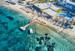 &Pi;&lambda;&omega;&tau;ή &epsilon;&xi;έ&delta;&rho;&alpha; &gamma;&iota;&alpha; Hippie Fish - 10