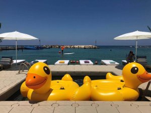 &Pi;&lambda;&omega;&tau;έ&sigmaf; &pi;&iota;&sigma;ί&nu;&epsilon;&sigmaf; - 15