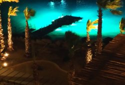 &Pi;&lambda;&omega;&tau;ή &epsilon;&xi;έ&delta;&rho;&alpha; &gamma;&iota;&alpha; Limerasu Holdings - 6