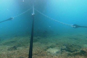 &Omicron;&iota;&kappa;&omicron;&lambda;&omicron;&gamma;&iota;&kappa;ή &alpha;&gamma;&kappa;&upsilon;&rho;&omicron;&beta;&omicron;&lambda;ί&alpha; - 33