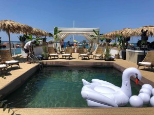 &Pi;&lambda;&omega;&tau;έ&sigmaf; &pi;&iota;&sigma;ί&nu;&epsilon;&sigmaf; - 12