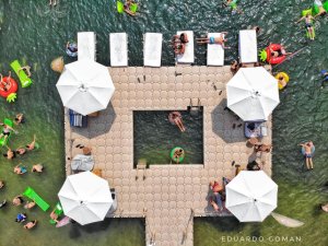 &Pi;&lambda;&omega;&tau;έ&sigmaf; &pi;&iota;&sigma;ί&nu;&epsilon;&sigmaf; - 17