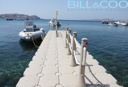 &Pi;&lambda;&omega;&tau;ή &epsilon;&xi;έ&delta;&rho;&alpha; &gamma;&iota;&alpha; Bill & Coo - 5