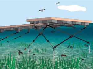 E&lambda;&alpha;&sigma;&tau;&iota;&kappa;ά &sigma;&chi;&omicron;&iota;&nu;&iota;ά &alpha;&gamma;&kappa;&upsilon;&rho;&omicron;&beta;&omicron;&lambda;ί&alpha;&sigmaf; Hazelett - 18