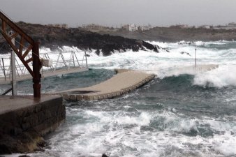 E&lambda;&alpha;&sigma;&tau;&iota;&kappa;ά &sigma;&chi;&omicron;&iota;&nu;&iota;ά &alpha;&gamma;&kappa;&upsilon;&rho;&omicron;&beta;&omicron;&lambda;ί&alpha;&sigmaf; Hazelett - 3
