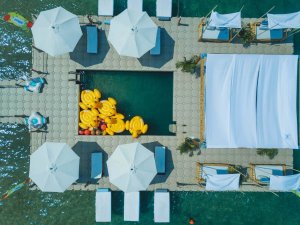 &Pi;&lambda;&omega;&tau;έ&sigmaf; &pi;&iota;&sigma;ί&nu;&epsilon;&sigmaf; - 18