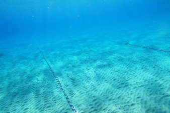 &Omicron;&iota;&kappa;&omicron;&lambda;&omicron;&gamma;&iota;&kappa;ή &alpha;&gamma;&kappa;&upsilon;&rho;&omicron;&beta;&omicron;&lambda;ί&alpha; - 38