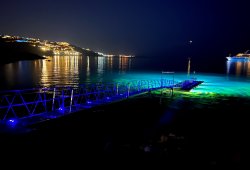 &Pi;&lambda;&omega;&tau;ή &epsilon;&xi;έ&delta;&rho;&alpha; &gamma;&iota;&alpha; &iota;&delta;&iota;ώ&tau;&eta;, &Alpha;&lambda;&epsilon;ό&mu;&alpha;&nu;&delta;&rho;&alpha; - 6