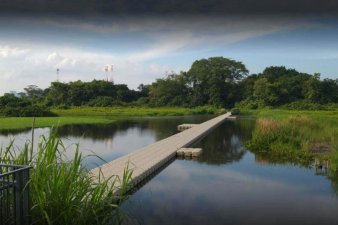 &Pi;&lambda;&omega;&tau;έ&sigmaf; &gamma;έ&phi;&upsilon;&rho;&epsilon;&sigmaf; - 2