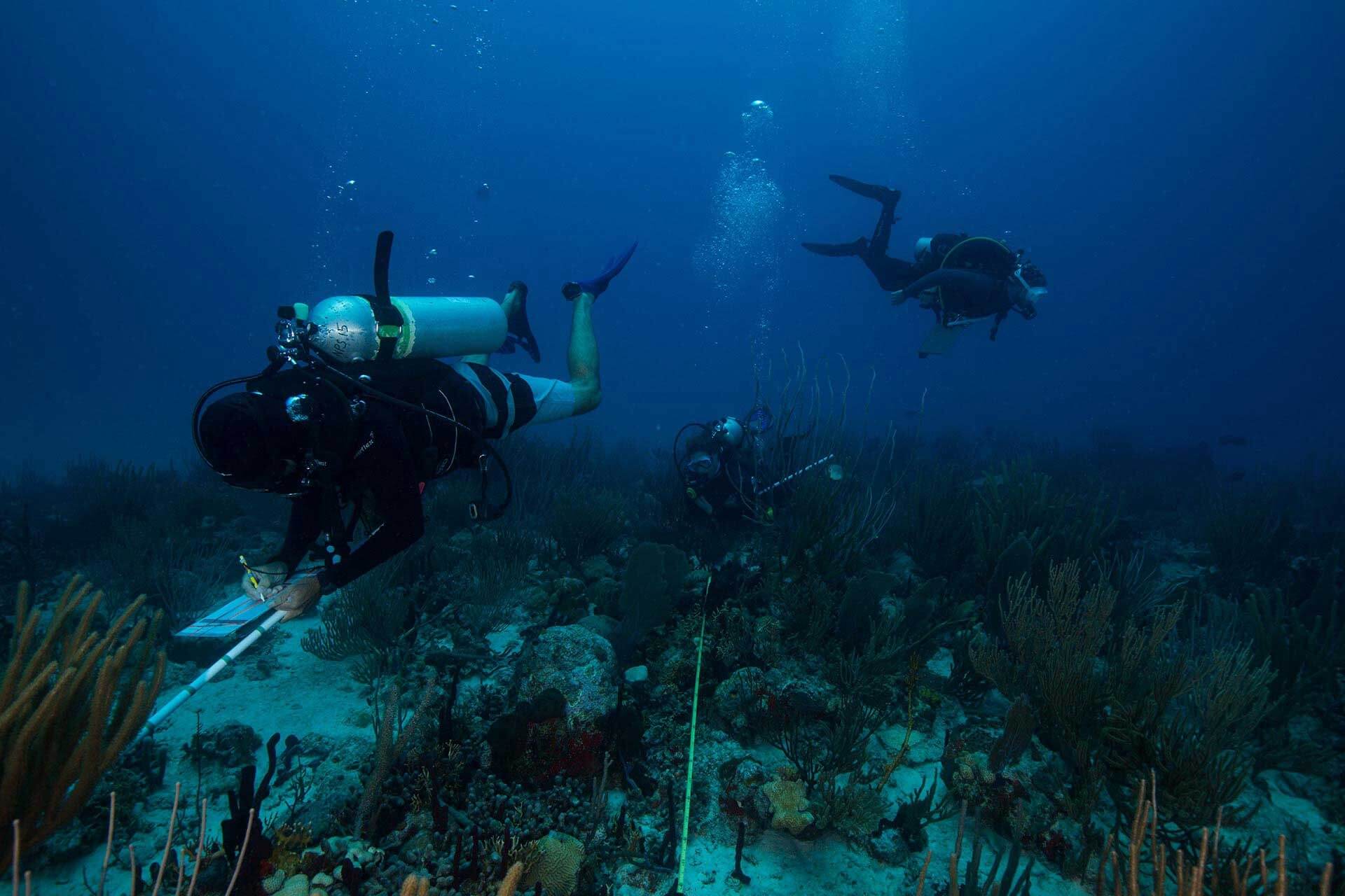&Upsilon;&pi;&eta;&rho;&epsilon;&sigma;ί&epsilon;&sigmaf; &Alpha;&gamma;&kappa;&upsilon;&rho;&omicron;&beta;&omicron;&lambda;ί&alpha;&sigmaf;