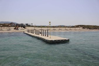 &Omicron;&iota;&kappa;&omicron;&lambda;&omicron;&gamma;&iota;&kappa;ή &alpha;&gamma;&kappa;&upsilon;&rho;&omicron;&beta;&omicron;&lambda;ί&alpha; - 7