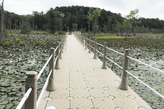 &Pi;&lambda;&omega;&tau;έ&sigmaf; &gamma;έ&phi;&upsilon;&rho;&epsilon;&sigmaf; - 4