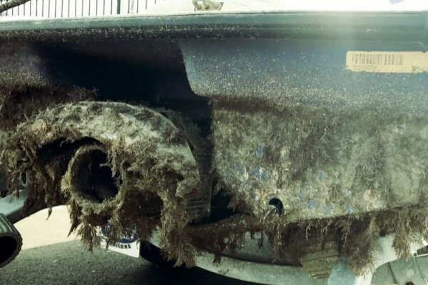 Airberth boatlift - προστασία από άλγη και στρειδώνα